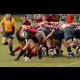 image 14 of 50